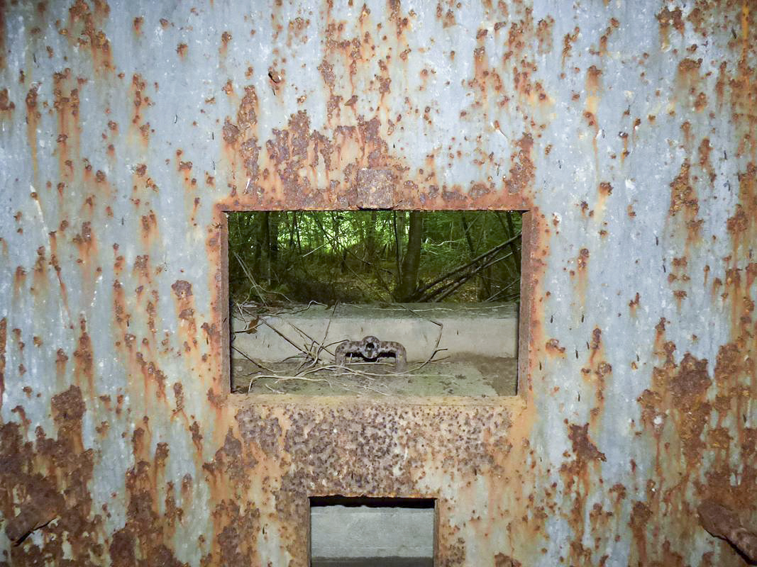 Ligne Maginot - B808 - BOIS DES AISEMENTS - (Blockhaus pour canon) - La chambre de tir
Côté flanquement gauche - Embrasure et son volet - JMBrams