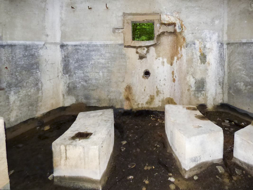 Ligne Maginot - B808 - BOIS DES AISEMENTS - (Blockhaus pour canon) - La chambre de tir
Embrasure FM - JMBrams