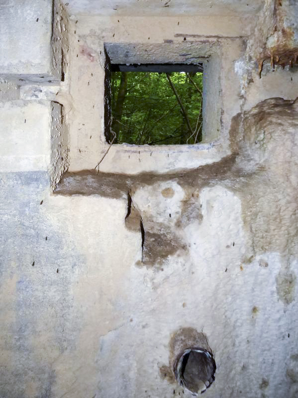 Ligne Maginot - B808 - BOIS DES AISEMENTS - (Blockhaus pour canon) - La chambre de tir
Embrasure FM - JMBrams