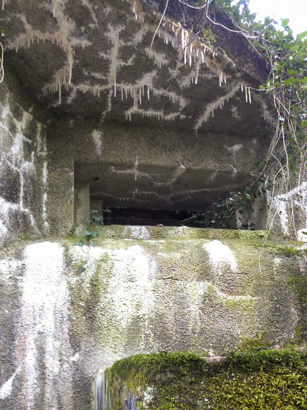 Ligne Maginot - B810 - MARIGOT - (Blockhaus pour canon) -  - JMBrams