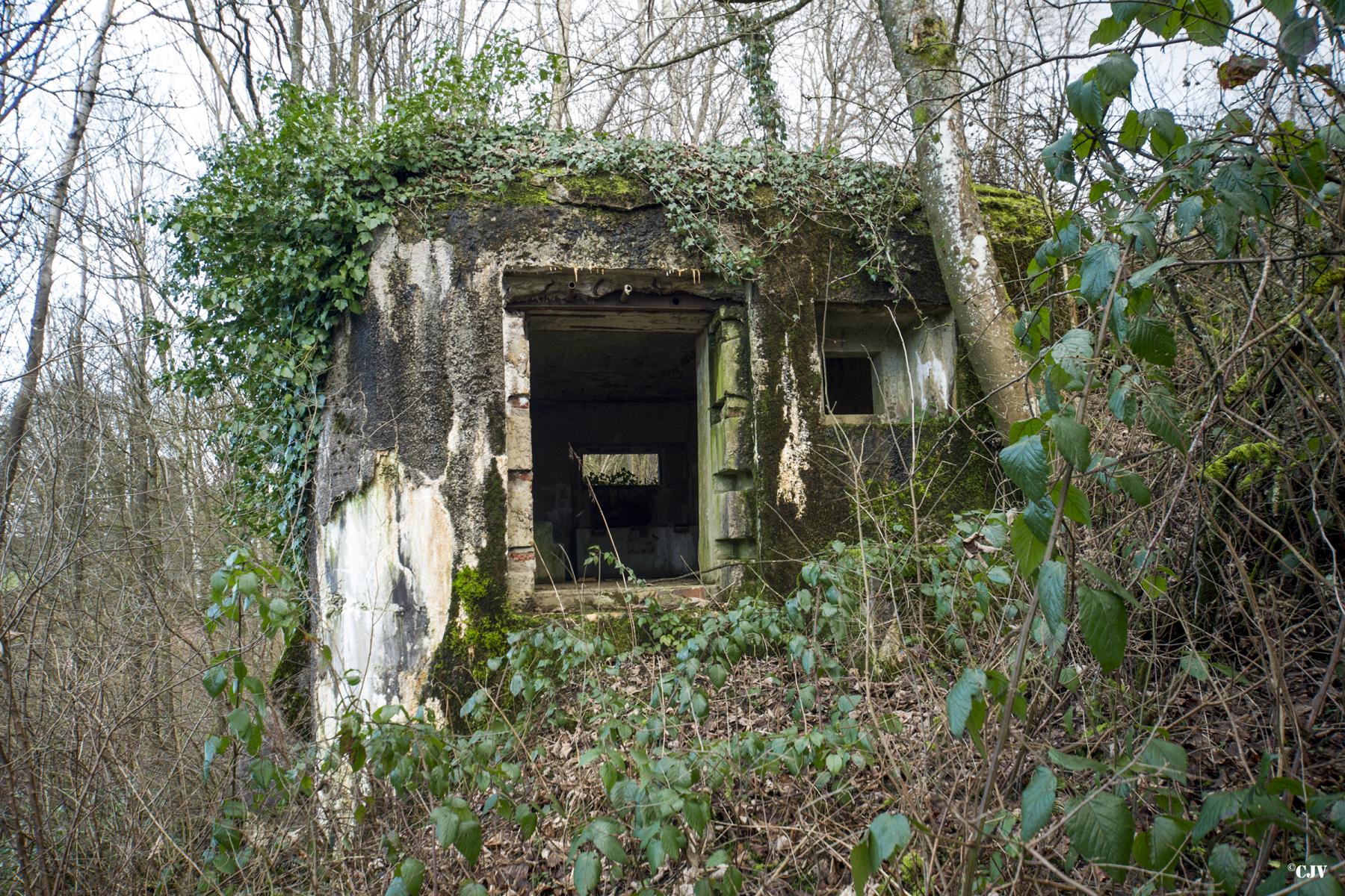 Ligne Maginot - B810 - MARIGOT - (Blockhaus pour canon) -  - Lia VERMEULEN