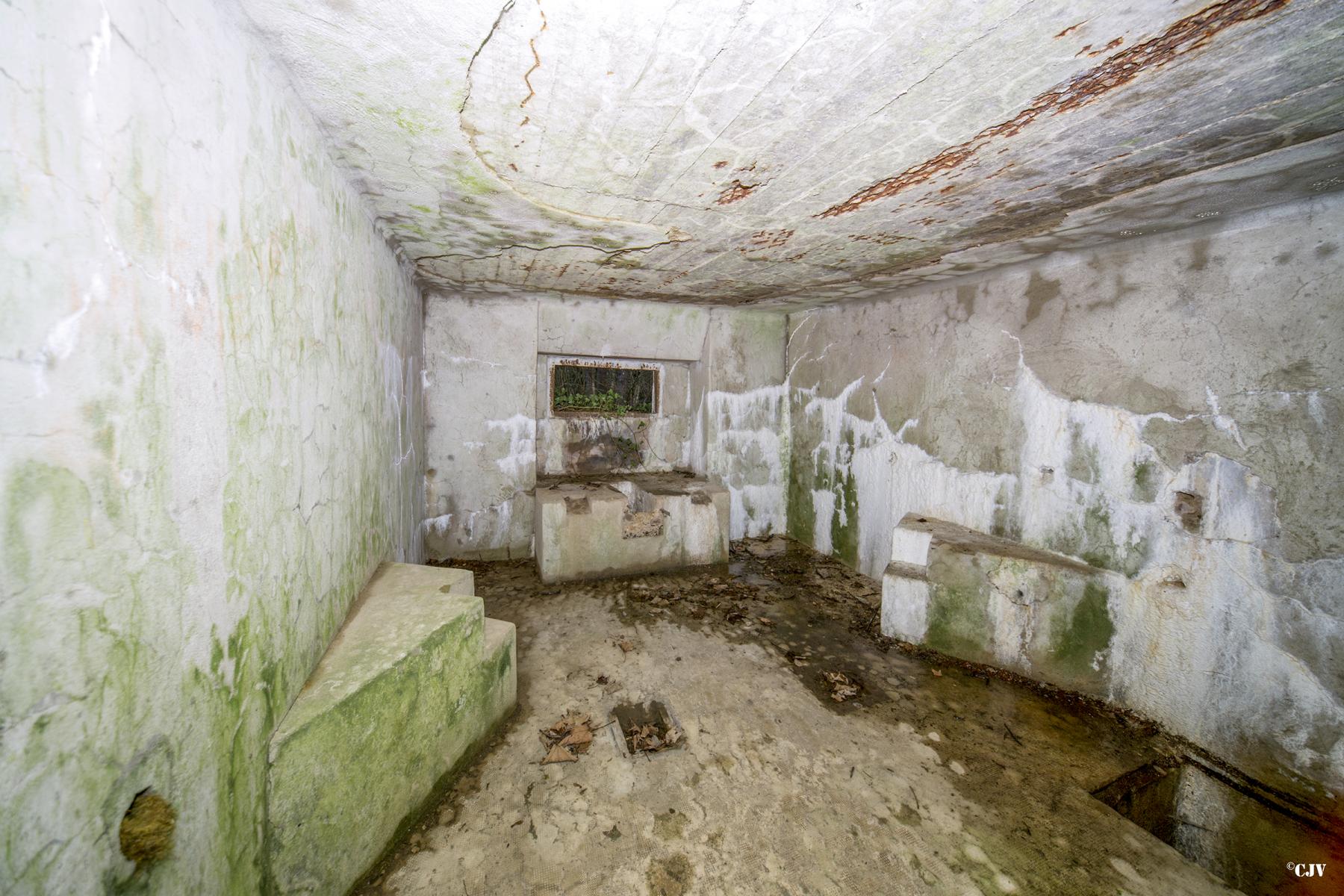 Ligne Maginot - B810 - MARIGOT - (Blockhaus pour canon) -  - Lia VERMEULEN