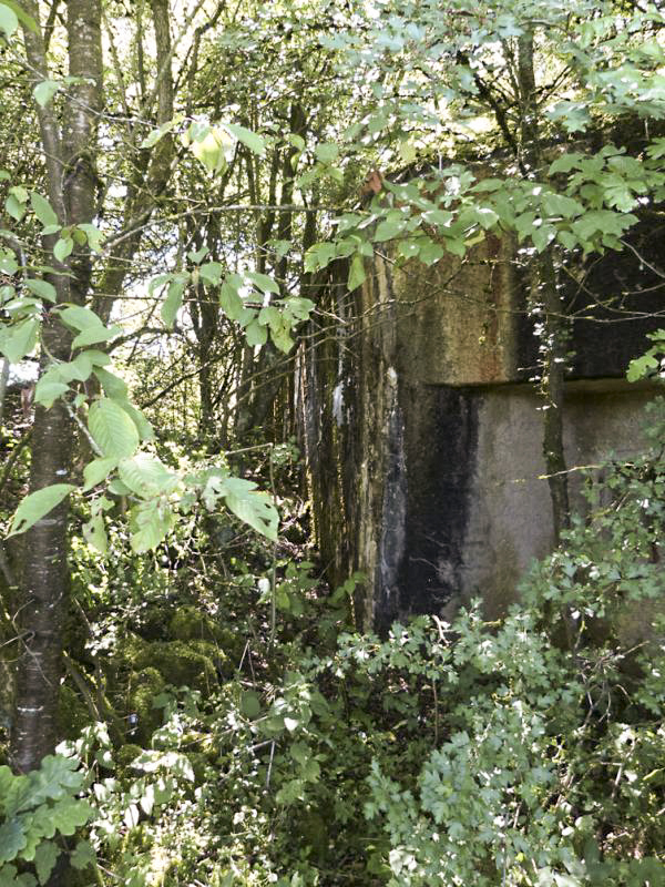 Ligne Maginot - B811 - SAINT LAURENT - (Blockhaus pour canon) -  - JMBrams