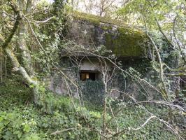 Ligne Maginot - B812 - PAR DELA L'ETANG - (Blockhaus pour canon) - 