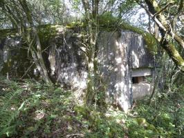 Ligne Maginot - B812 - PAR DELA L'ETANG - (Blockhaus pour canon) - 