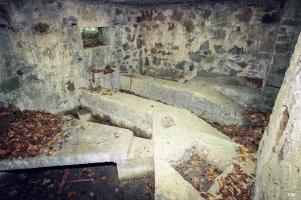 Ligne Maginot - BA25 - ISAIE OUEST - (Blockhaus pour canon) - 