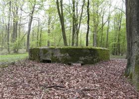 Ligne Maginot - BA25 - ISAIE OUEST - (Blockhaus pour canon) - 