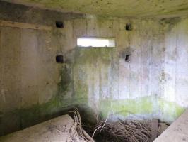 Ligne Maginot - BA33 - GRANDES FOSSES - (Blockhaus pour canon) - 