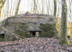 Ligne Maginot - BA46 - ÉTANG DE GLAND - (Blockhaus pour arme infanterie) - 