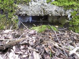 Ligne Maginot - BA46 - ÉTANG DE GLAND - (Blockhaus pour arme infanterie) - 