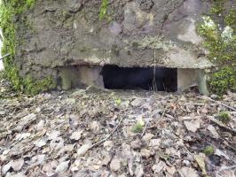 Ligne Maginot - BA46 - ÉTANG DE GLAND - (Blockhaus pour arme infanterie) - 