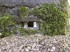Ligne Maginot - BA46 - ÉTANG DE GLAND - (Blockhaus pour arme infanterie) - 