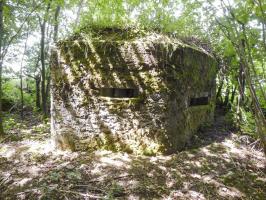 Ligne Maginot - BA48 - GRAND DOUAIRE EST - (Blockhaus pour arme infanterie) - 