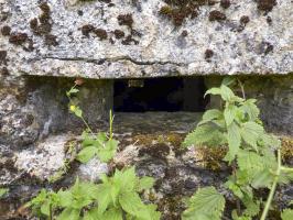 Ligne Maginot - BA48 - GRAND DOUAIRE EST - (Blockhaus pour arme infanterie) - 