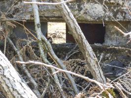 Ligne Maginot - BA55 - LA LOUVIÈRE - (Blockhaus pour arme infanterie) - 