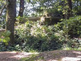 Ligne Maginot - BA61BIS - LE PRÉ FORGET SUD - (Blockhaus pour canon) - 