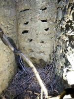 Ligne Maginot - CASSE BLANCHE - (Abri) - Issue de secours ?
Des réservations pour le scellement d'échelons sont visibles