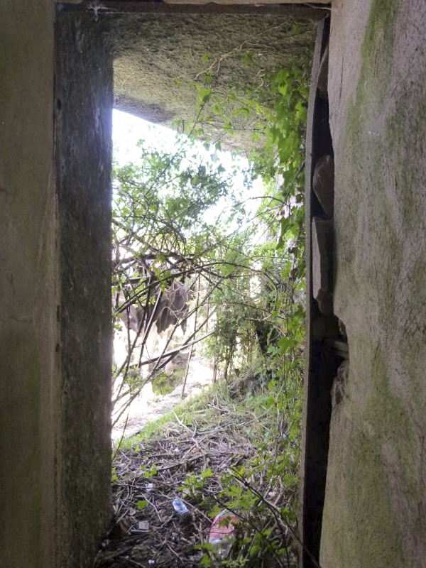 Ligne Maginot - B815 - LA FILATURE - (Blockhaus pour canon) -  - JMBrams