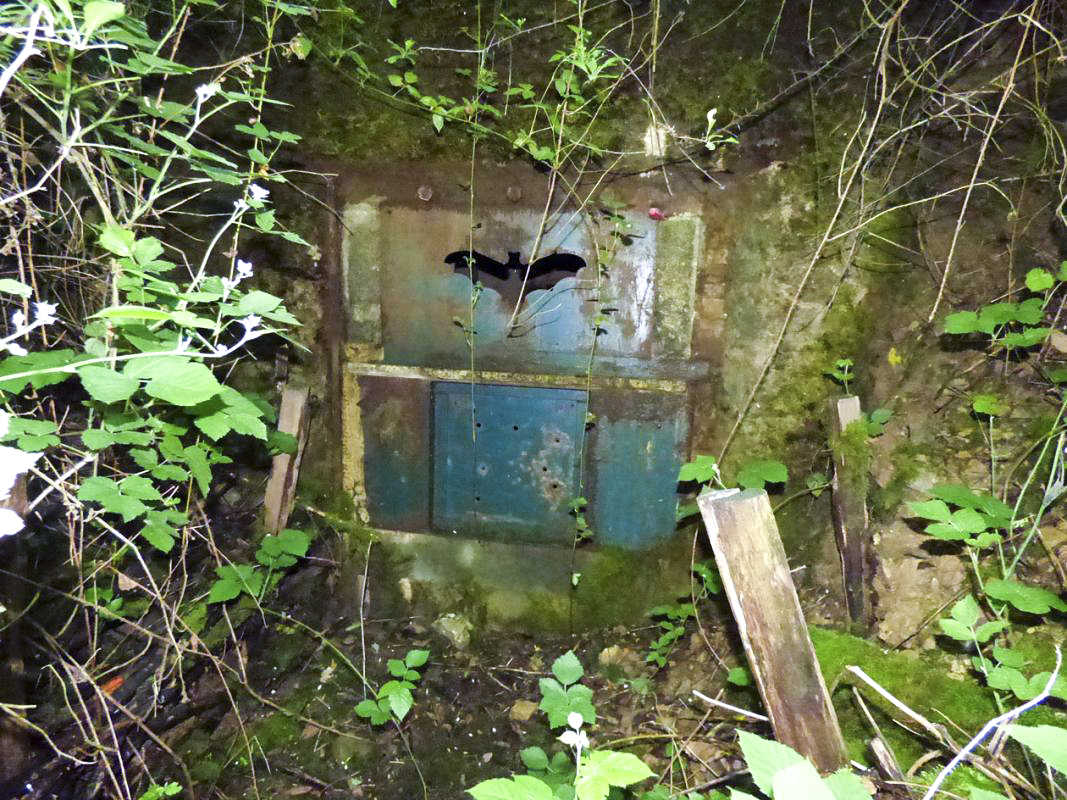 Ligne Maginot - B816 - LA MALTERIE - (Blockhaus pour canon) - Le blockhaus est recouvert par de la terre et des déblais mais de petites portions de béton sont toujours visibles. L'entrée est conservée mais est fermée car l'intérieur du blockhaus sert de refuge aux les chauve-souris. - JMBrams