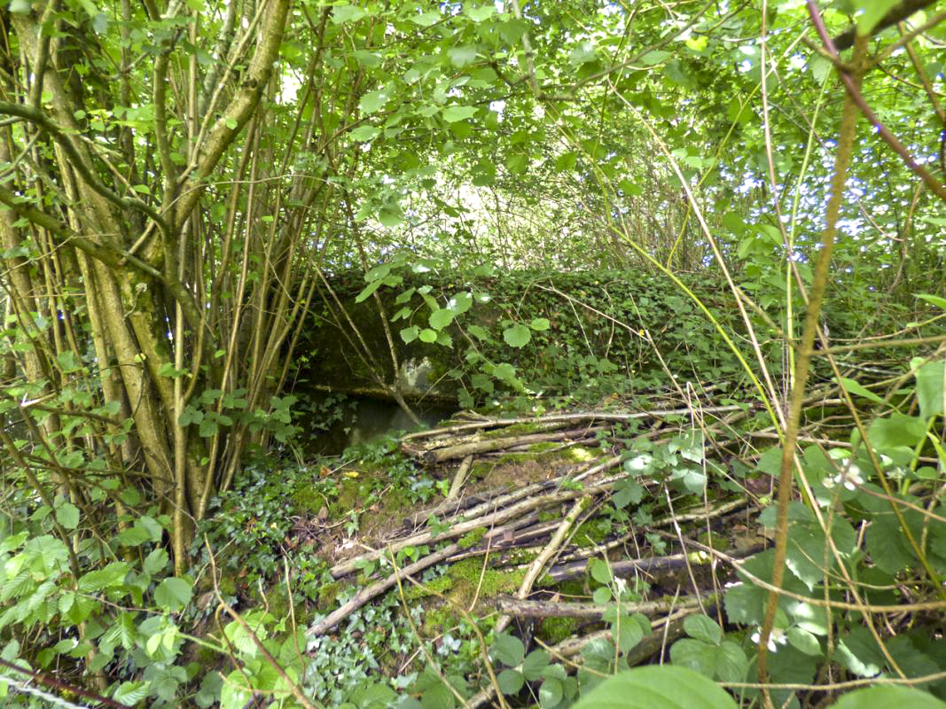 Ligne Maginot - B816 - LA MALTERIE - (Blockhaus pour canon) -  - JMBrams