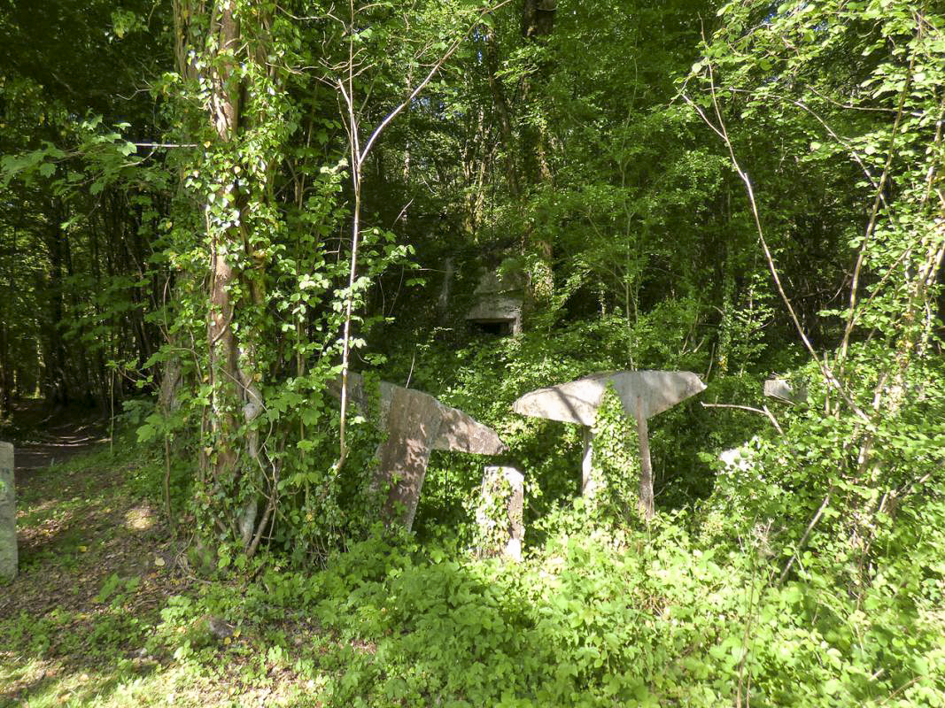 Ligne Maginot - B817 - LA GALOPERIE NORD - (Blockhaus pour canon) - L'obstacle anti char trés particulier entre le blockhaus et la frontiére. - JMBrams