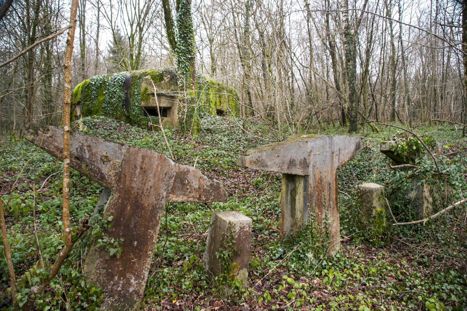 Ligne Maginot - B817 - LA GALOPERIE NORD - (Blockhaus pour canon) -  - Lia VERMEULEN