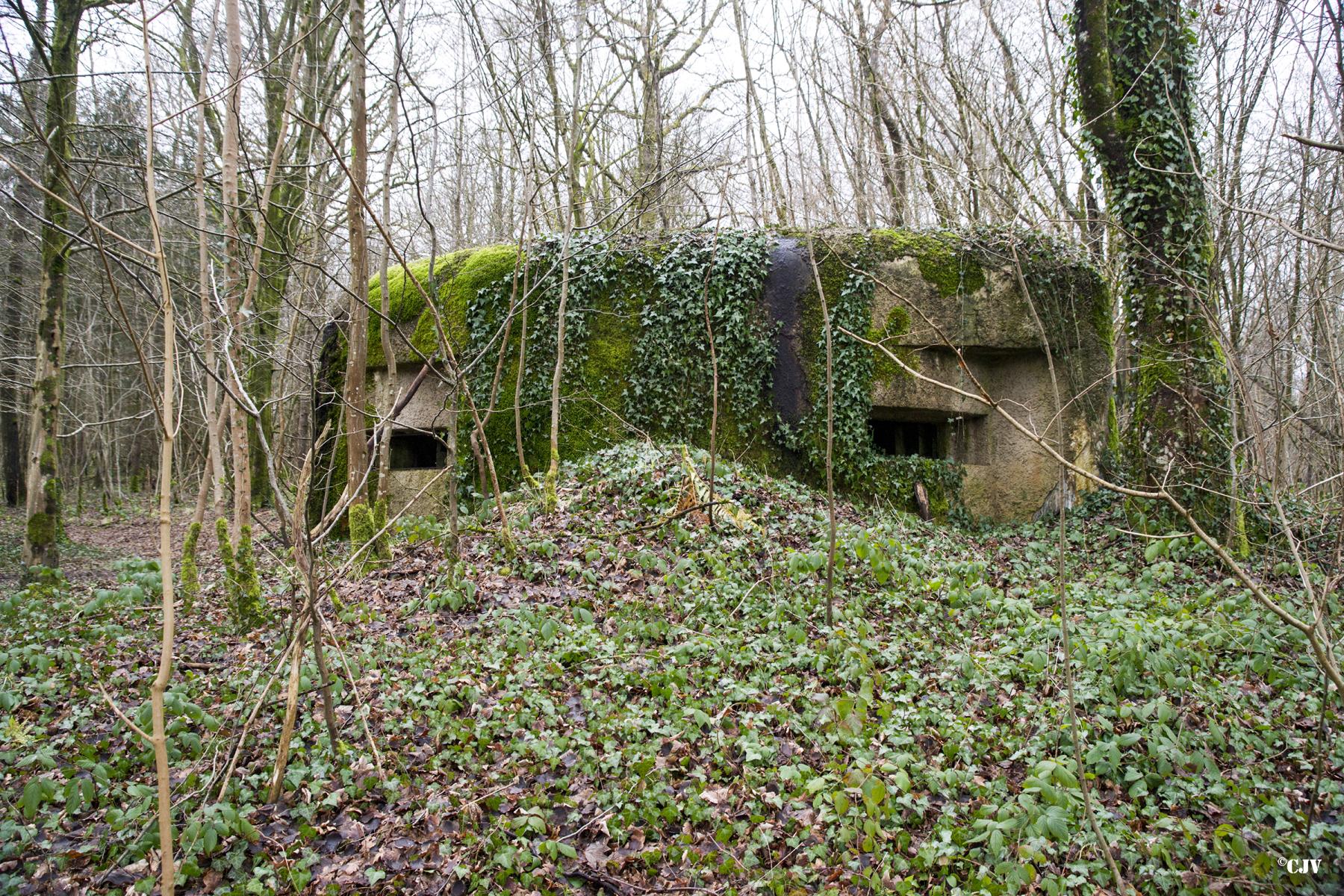 Ligne Maginot - B817 - LA GALOPERIE NORD - (Blockhaus pour canon) -  - Lia VERMEULEN