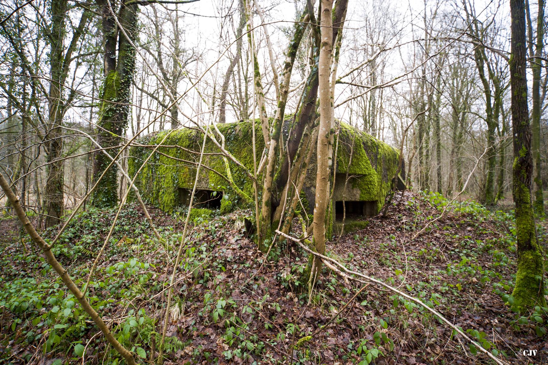 Ligne Maginot - B817 - LA GALOPERIE NORD - (Blockhaus pour canon) -  - Lia VERMEULEN