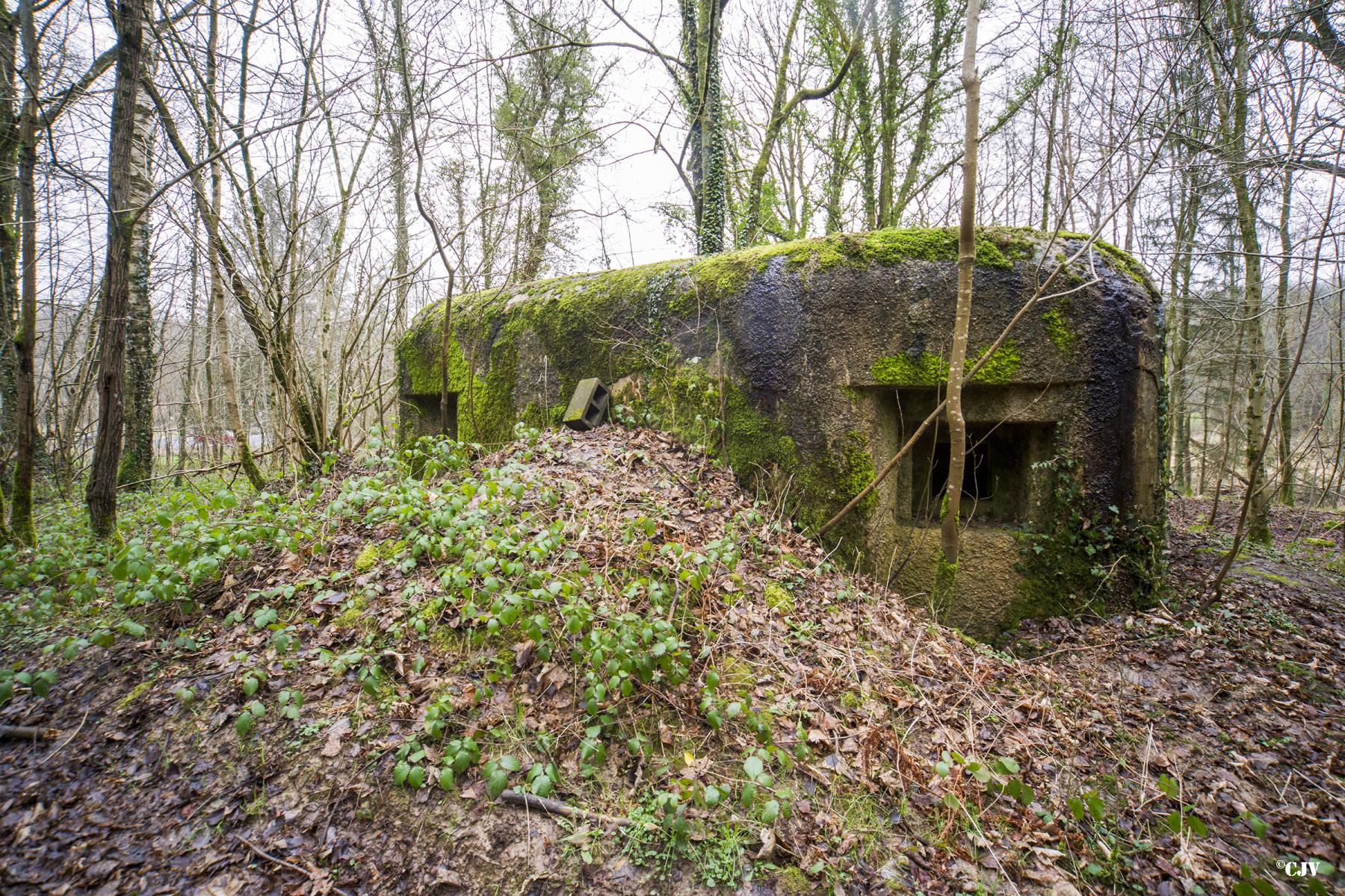 Ligne Maginot - B817 - LA GALOPERIE NORD - (Blockhaus pour canon) -  - Lia VERMEULEN
