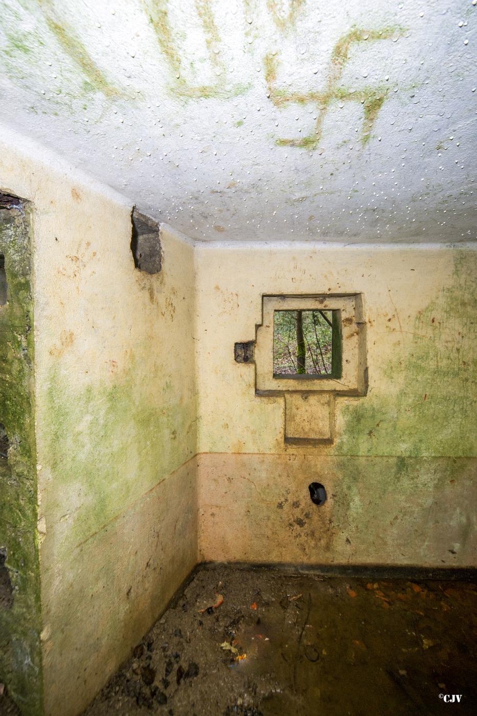 Ligne Maginot - B817 - LA GALOPERIE NORD - (Blockhaus pour canon) - Créneau de flanquement gauche - Lia VERMEULEN
