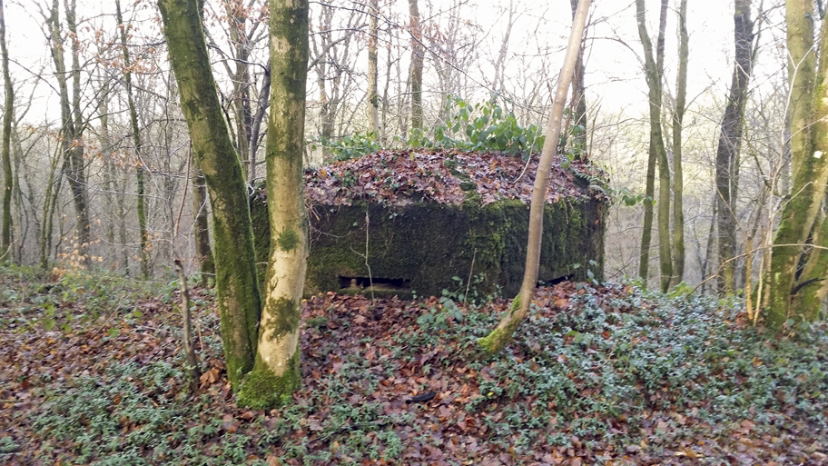 Ligne Maginot - BA1 - MILOURD - (Blockhaus pour arme infanterie) -  - P.VILAIN
