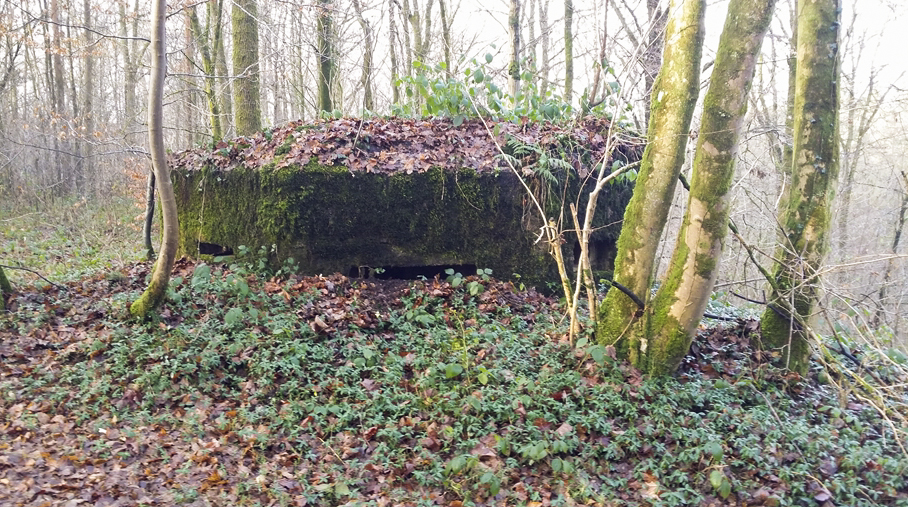 Ligne Maginot - BA1 - MILOURD - (Blockhaus pour arme infanterie) -  - P.VILAIN