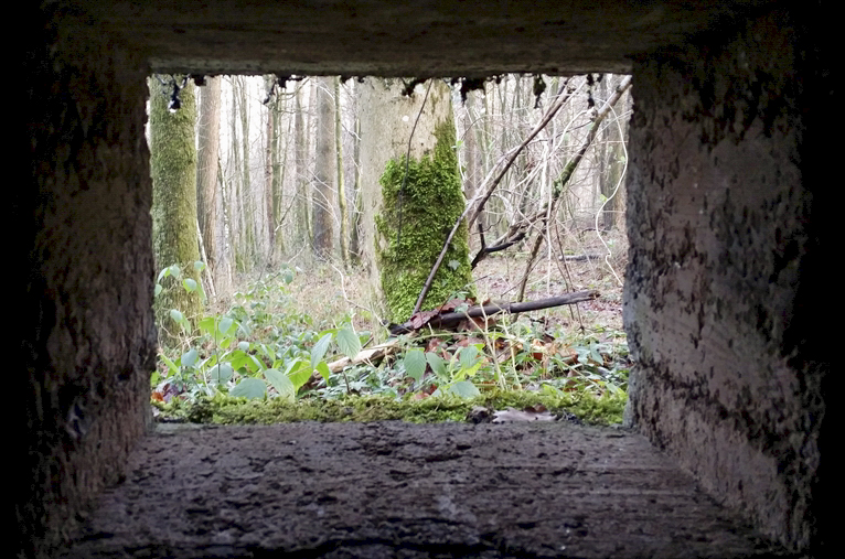 Ligne Maginot - BA1 - MILOURD - (Blockhaus pour arme infanterie) -  - P.VILAIN