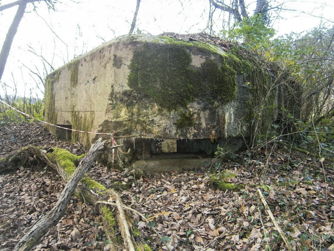 Ligne Maginot - BA2 - ETANG DE NEUVE-FORGE - (Blockhaus pour canon) -  - P.VILAIN