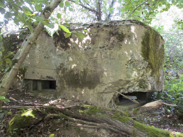 Ligne Maginot - BA2 - ETANG DE NEUVE-FORGE - (Blockhaus pour canon) -  - Randonneur62