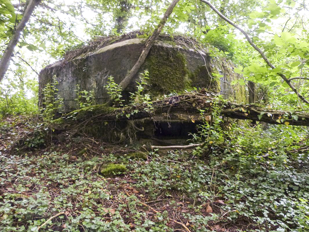 Ligne Maginot - BA2 - ETANG DE NEUVE-FORGE - (Blockhaus pour canon) -  - JMBrams