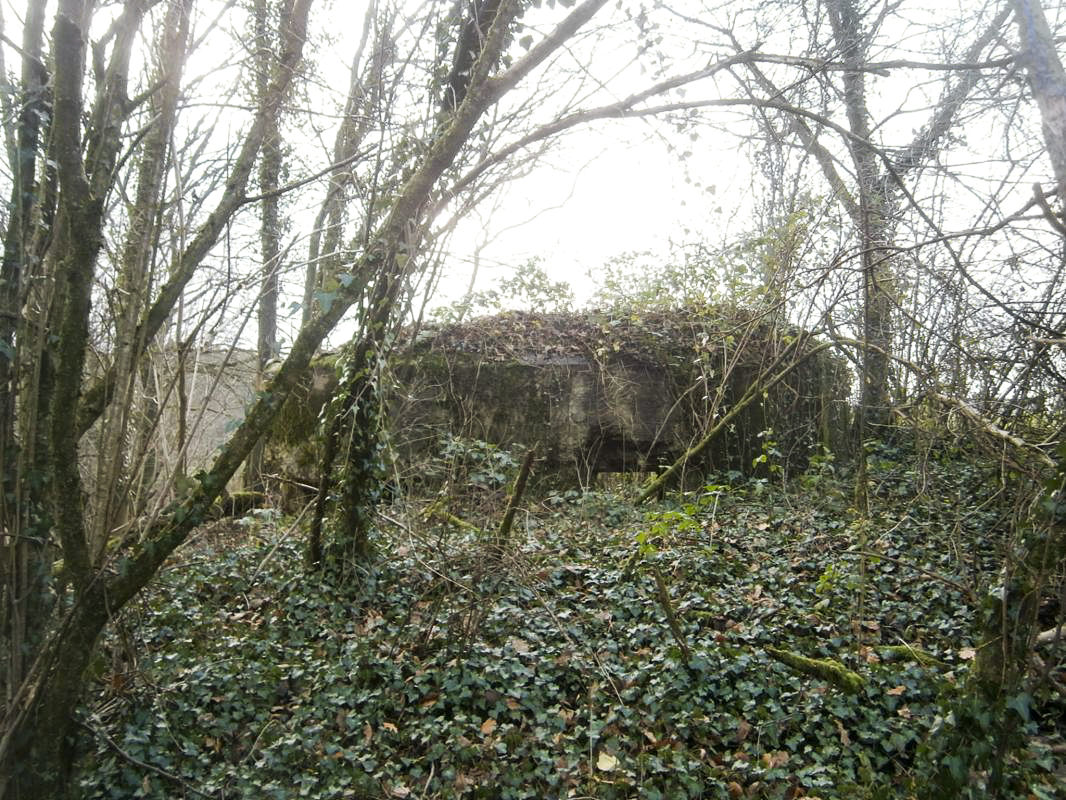 Ligne Maginot - BA2 - ETANG DE NEUVE-FORGE - (Blockhaus pour canon) -  - P.VILAIN