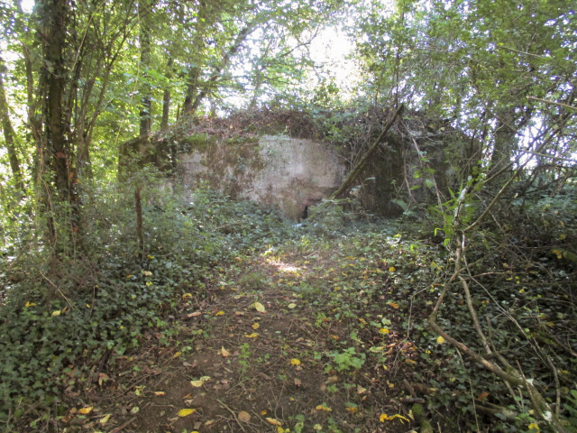 Ligne Maginot - BA2 - ETANG DE NEUVE-FORGE - (Blockhaus pour canon) -  - Randonneur62