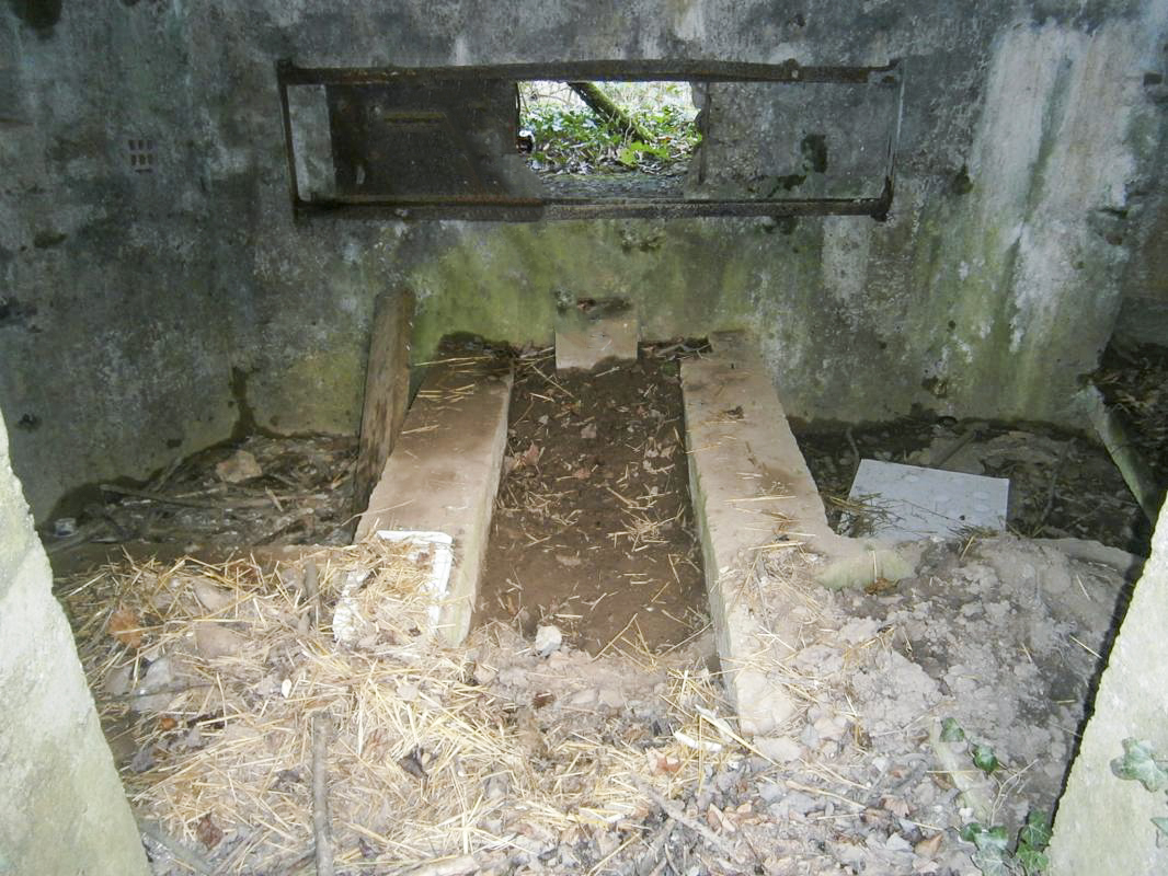Ligne Maginot - BA2 - ETANG DE NEUVE-FORGE - (Blockhaus pour canon) -  - P.VILAIN