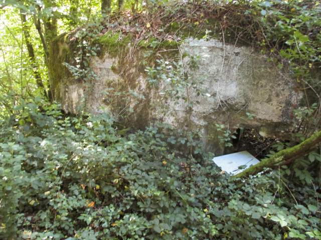 Ligne Maginot - BA2 - ETANG DE NEUVE-FORGE - (Blockhaus pour canon) -  - Randonneur62