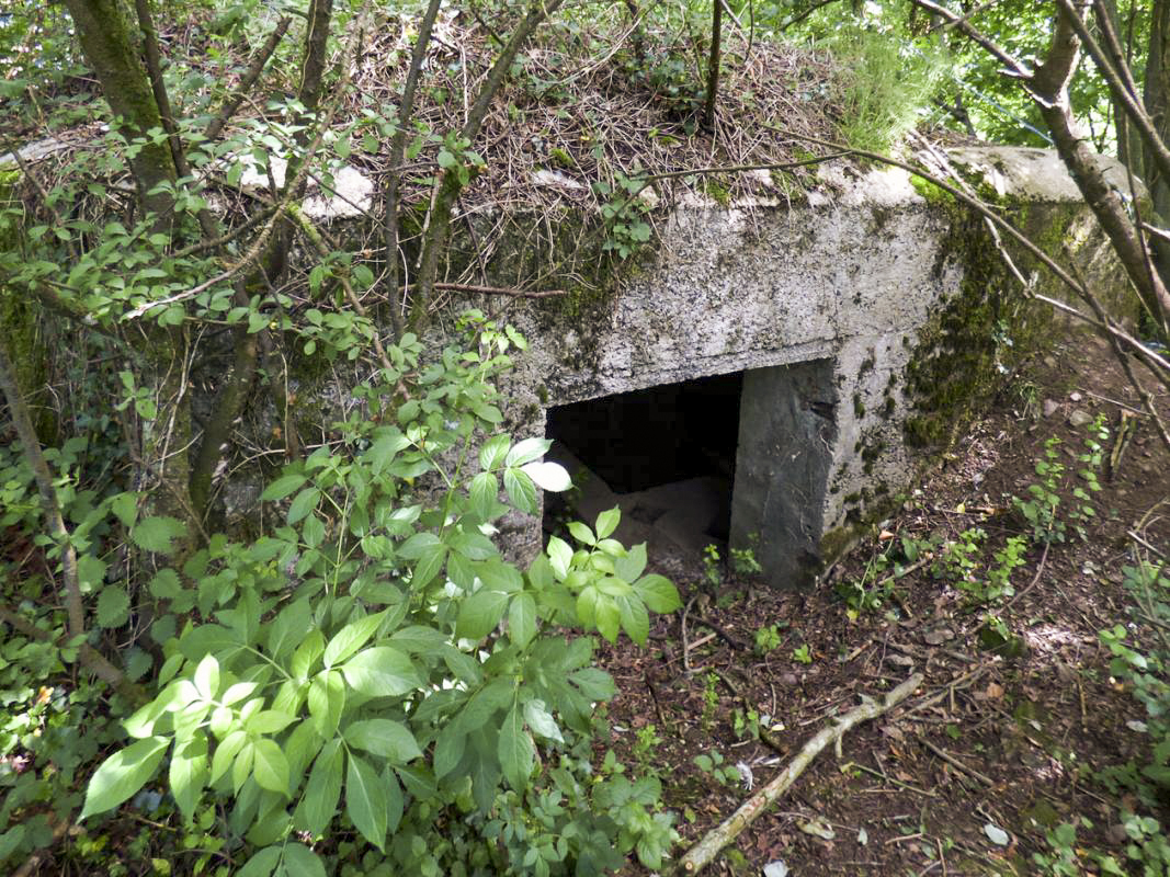Ligne Maginot - BA2 - ETANG DE NEUVE-FORGE - (Blockhaus pour canon) -  - JMBrams