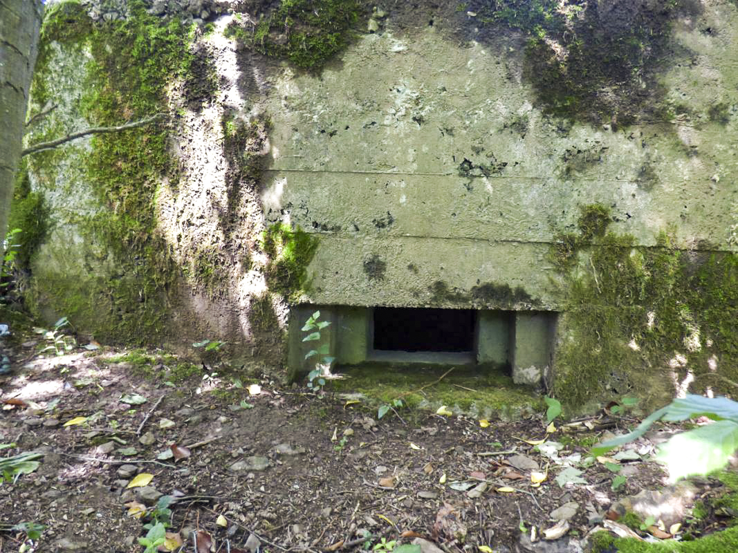 Ligne Maginot - BA2 - ETANG DE NEUVE-FORGE - (Blockhaus pour canon) -  - JMBrams