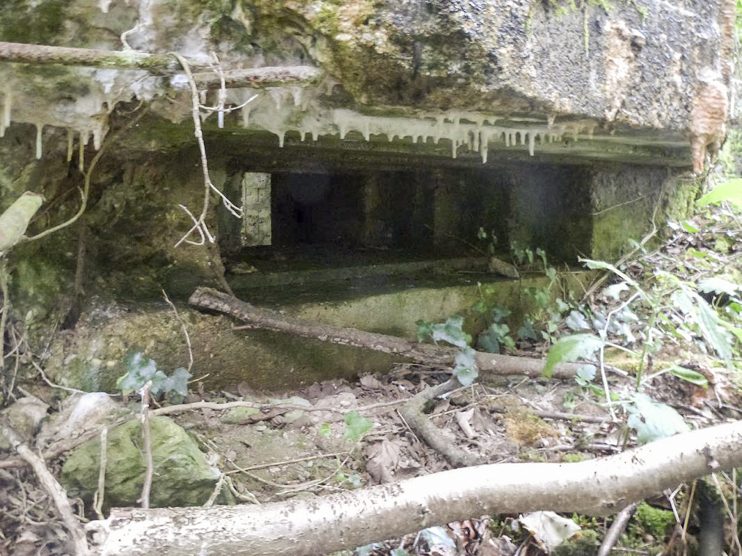Ligne Maginot - BA2 - ETANG DE NEUVE-FORGE - (Blockhaus pour canon) -  - JMBrams