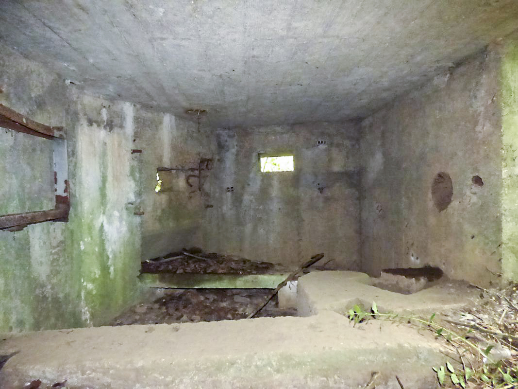 Ligne Maginot - BA2 - ETANG DE NEUVE-FORGE - (Blockhaus pour canon) -  - JMBrams