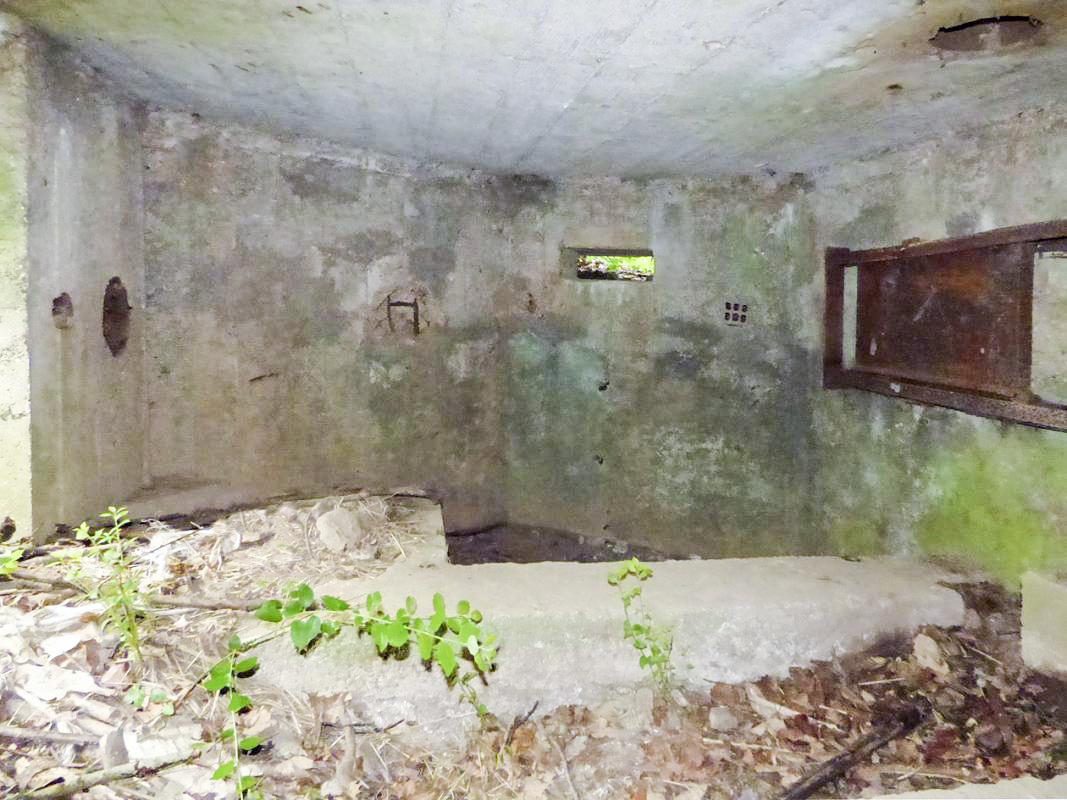 Ligne Maginot - BA2 - ETANG DE NEUVE-FORGE - (Blockhaus pour canon) -  - JMBrams