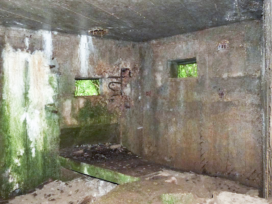 Ligne Maginot - BA2 - ETANG DE NEUVE-FORGE - (Blockhaus pour canon) -  - JMBrams