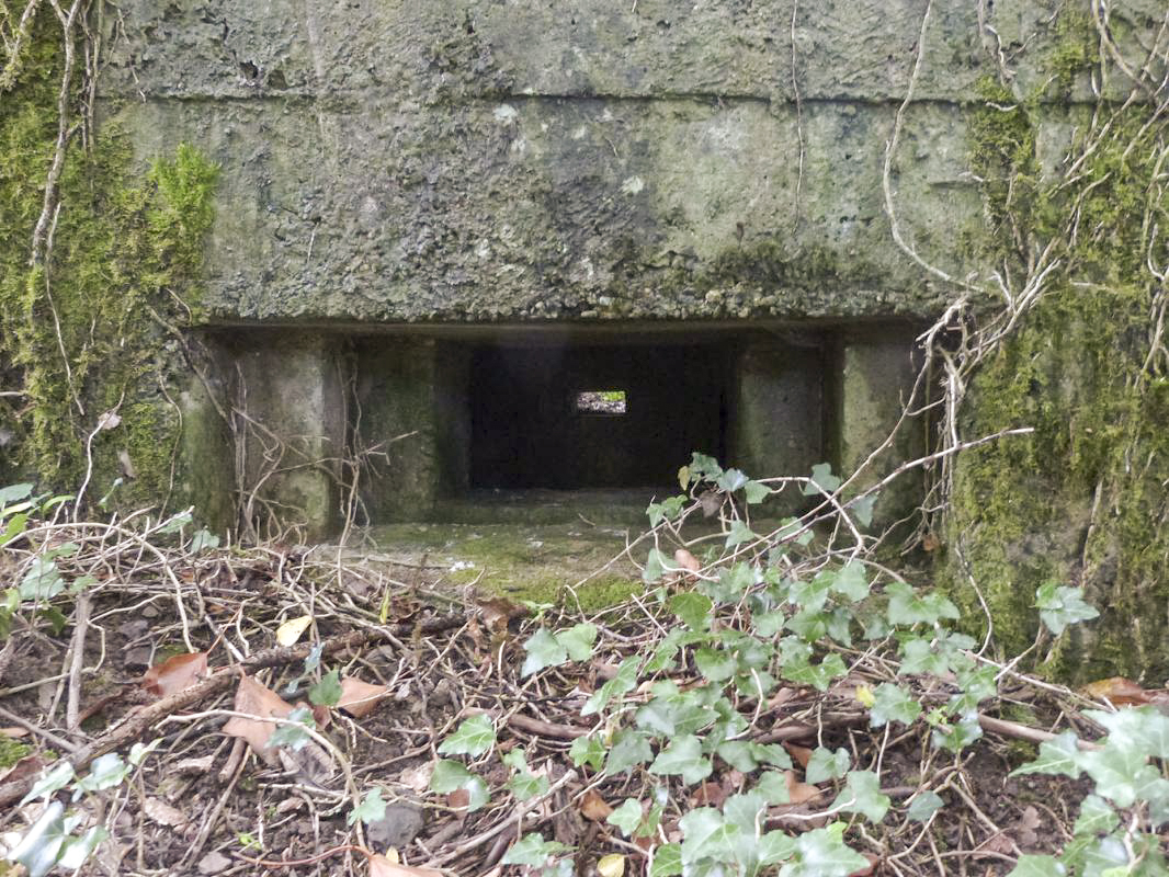 Ligne Maginot - BA2 - ETANG DE NEUVE-FORGE - (Blockhaus pour canon) -  - JMBrams