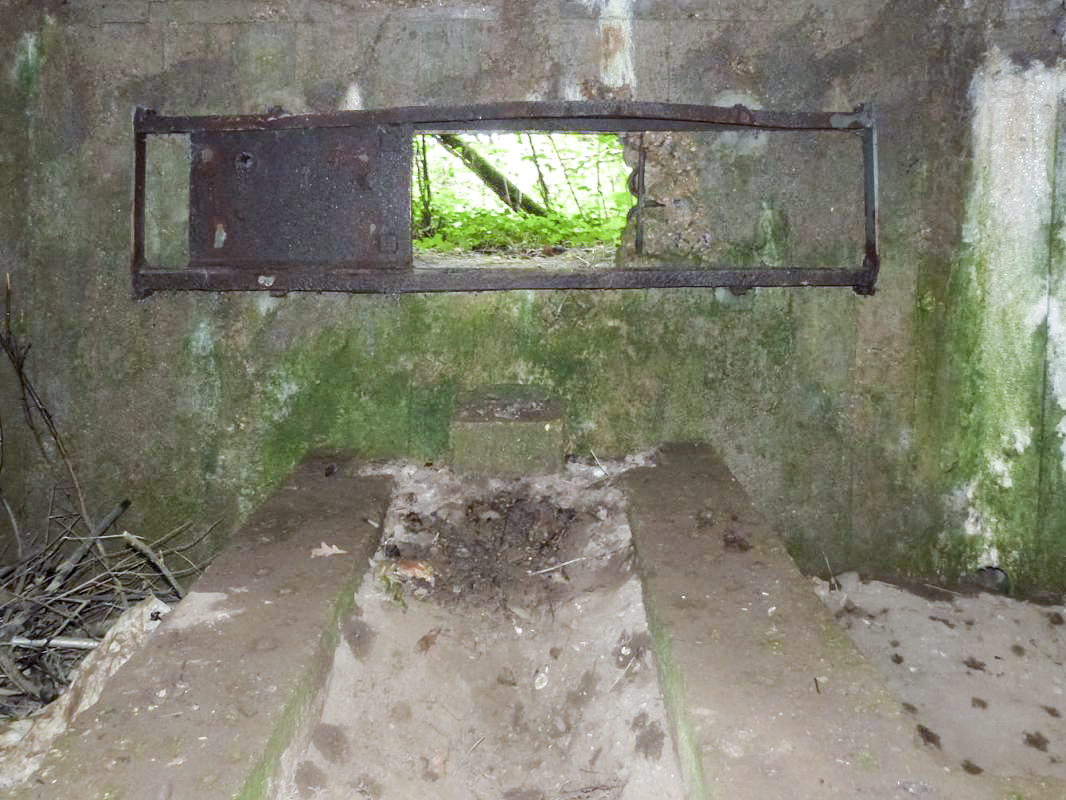 Ligne Maginot - BA2 - ETANG DE NEUVE-FORGE - (Blockhaus pour canon) -  - JMBrams