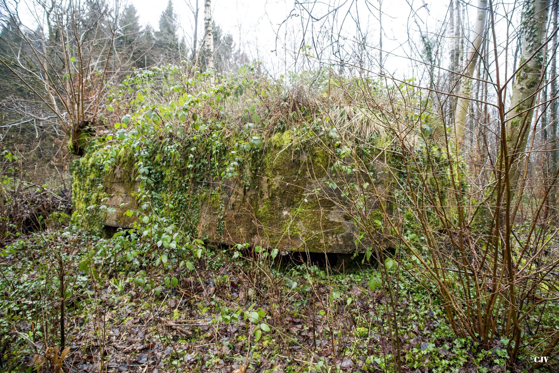 Ligne Maginot - BA3 - NEUVE-FORGE - (Blockhaus pour canon) -  - Lia VERMEULEN