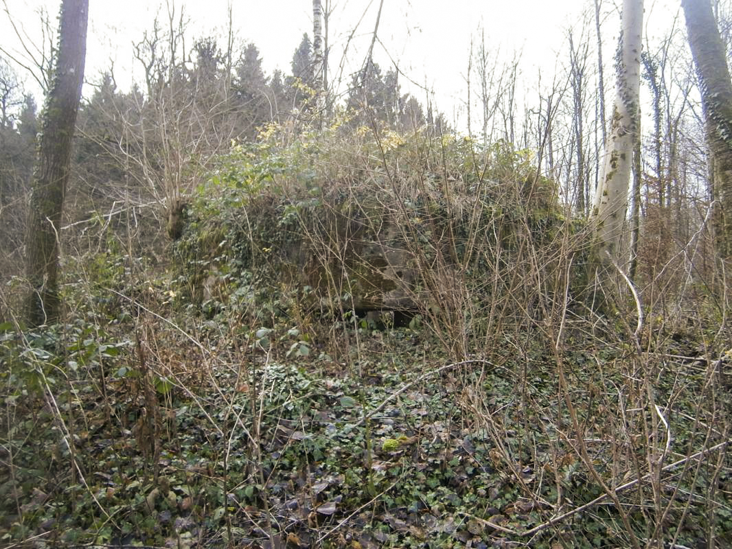 Ligne Maginot - BA3 - NEUVE-FORGE - (Blockhaus pour canon) -  - P.VILAIN